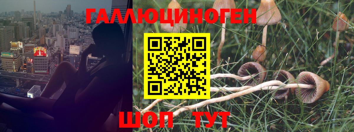 Псилоцибиновые грибы ЛСД Карталы